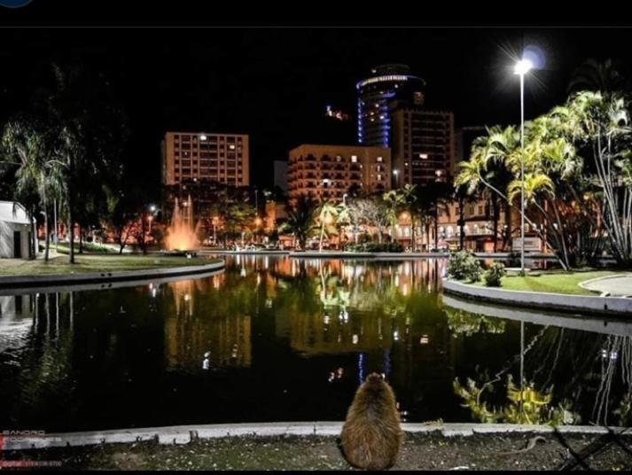 Apartmán Apartamento Aconchegante Centro Águas de Lindóia Exteriér fotografie